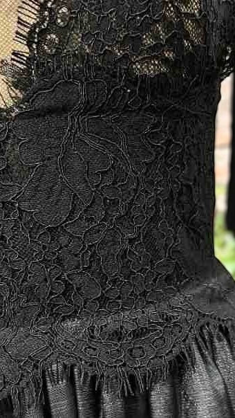 Elegant French Lace Plunge Semi-Sheer Long Sleeve Flared Midi Dress