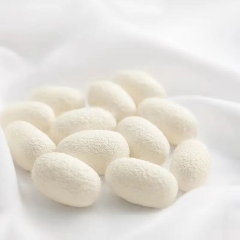 Sff99203cf963444d8d5d28ca0c84ee79L